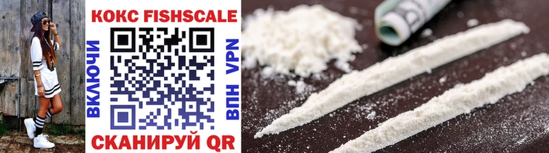 COCAIN Fish Scale  как найти   Бердск 