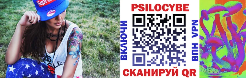 Галлюциногенные грибы Psilocybine cubensis  Бердск 